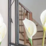 Casa Vacacional Con Encanto Vakantiehuis Puerto de la Cruz (Tenerife)