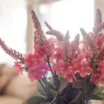 بيت للعطل Casa Vacacional Con Encanto *