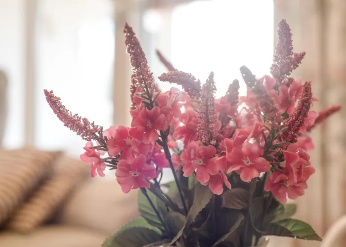 펜션 Casa Vacacional Con Encanto