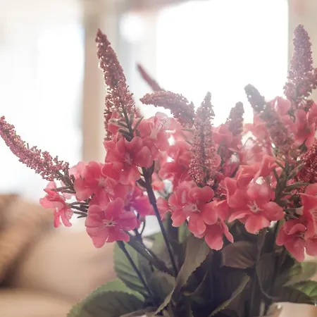 Hébergement de vacances Casa Vacacional Con Encanto